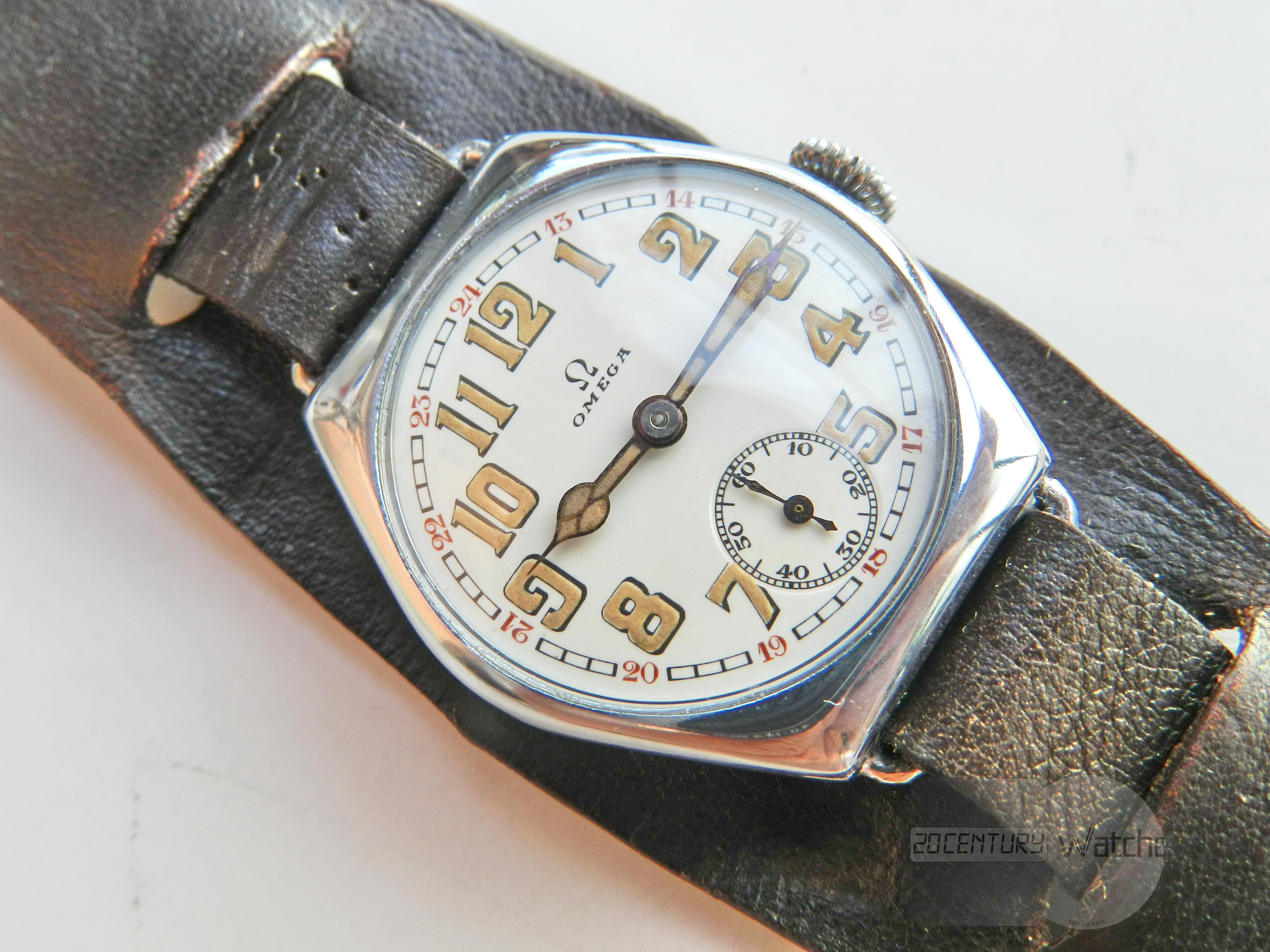Omega Cushion Case from 20s